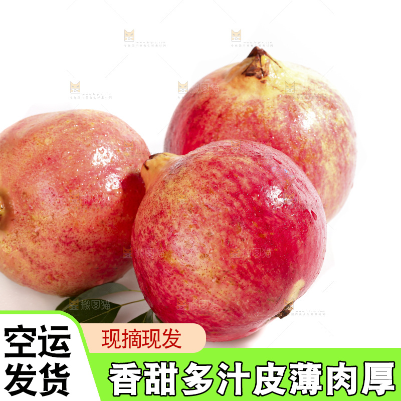 白底上的突尼斯软籽石榴