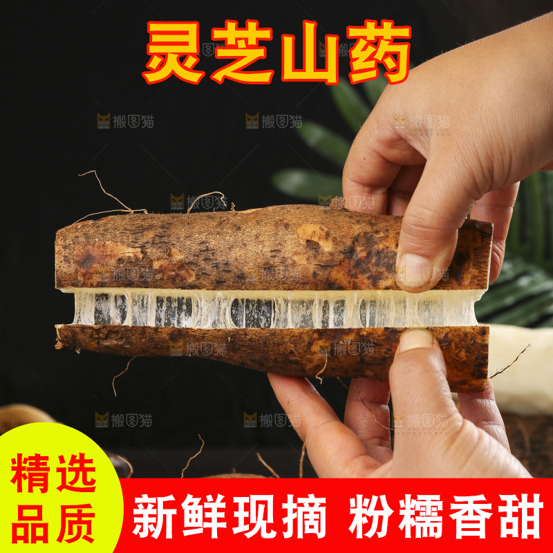 深底上的灵芝山药
