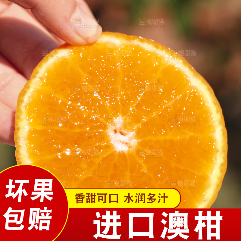 手里拿着进口澳柑