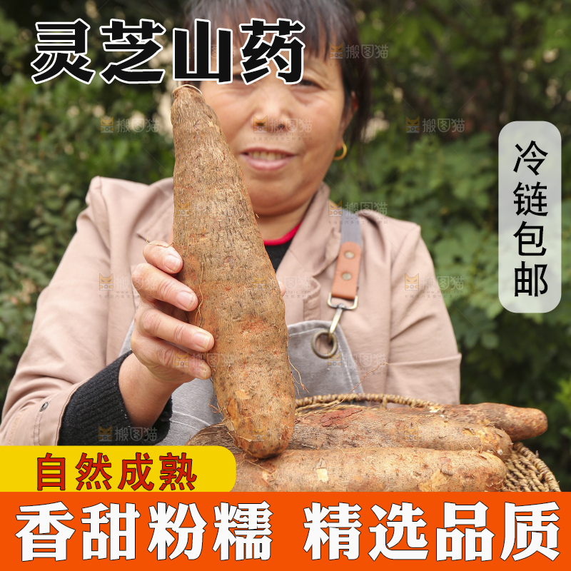 手里拿着灵芝山药