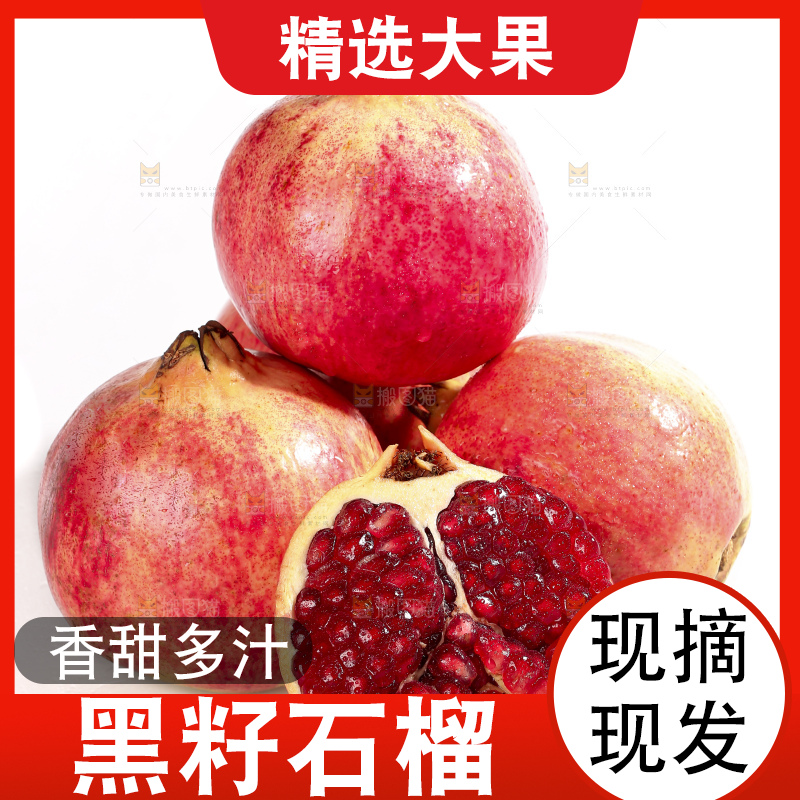 白底上的突尼斯软籽石榴