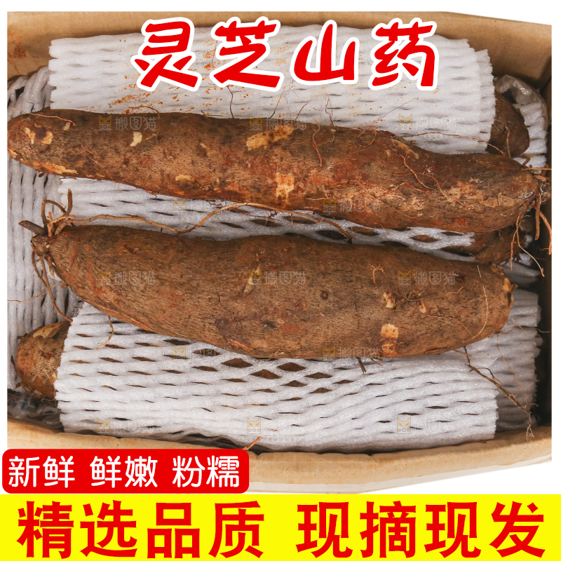 白底上放着灵芝山药