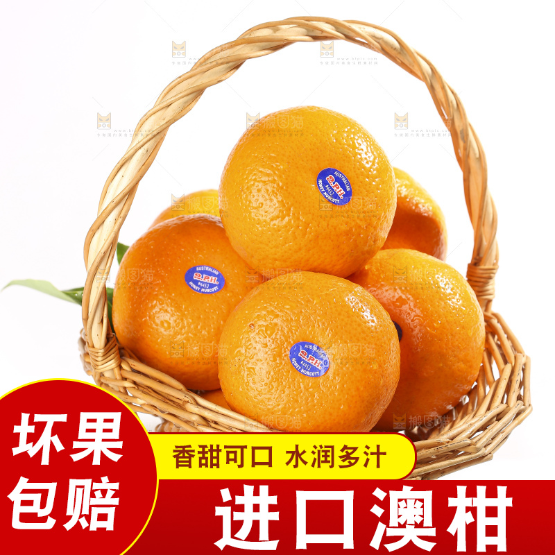 白底上放着新鲜澳柑