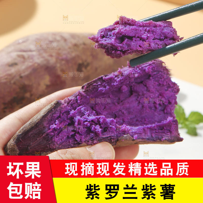 浅底上的板栗紫薯