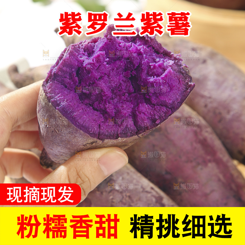 浅底上的板栗紫薯