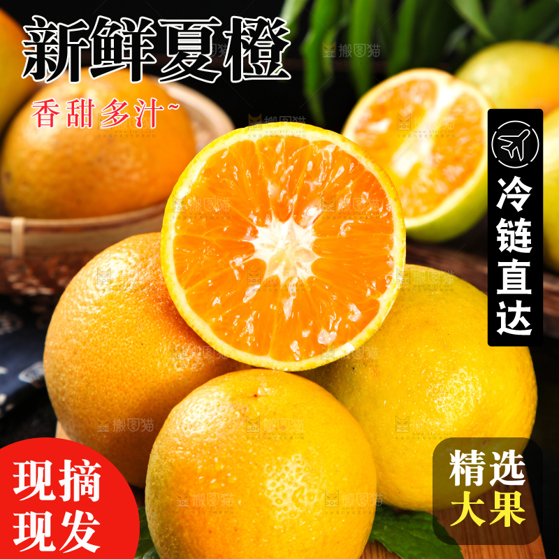 深底上放着夏橙