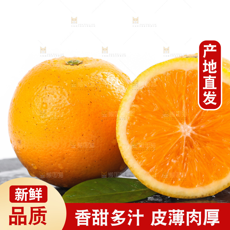 白底上的麻阳冰糖橙
