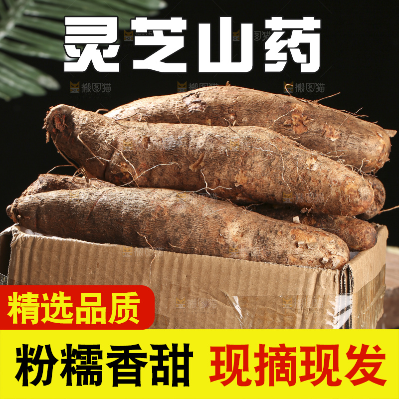 深底上放着灵芝山药