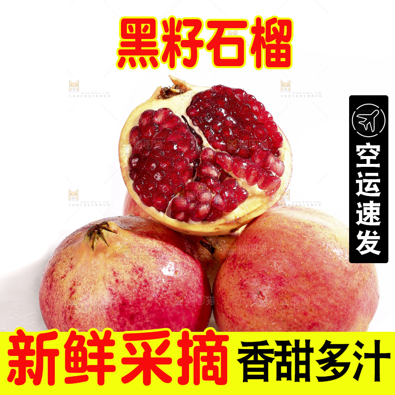 白底上的突尼斯软籽石榴