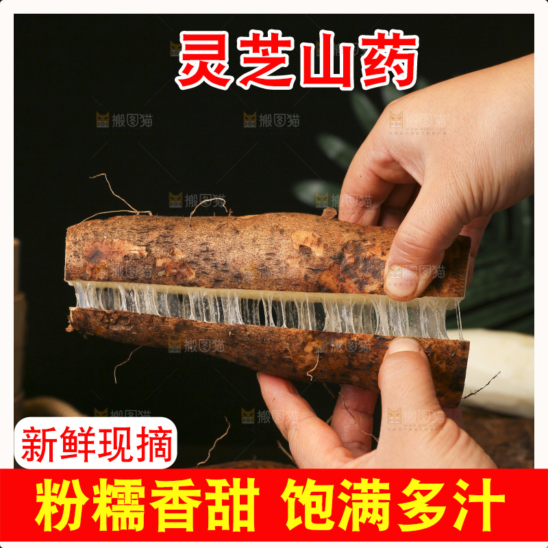 深底上的灵芝山药