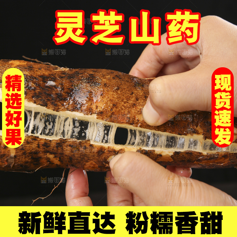 手里拿着拉丝灵芝山药