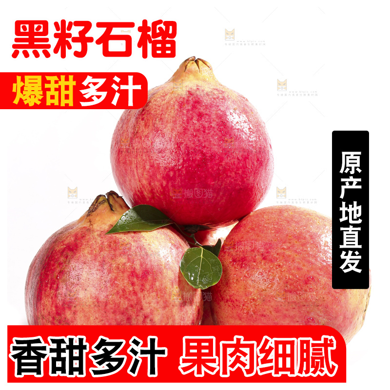 白底上的突尼斯软籽石榴