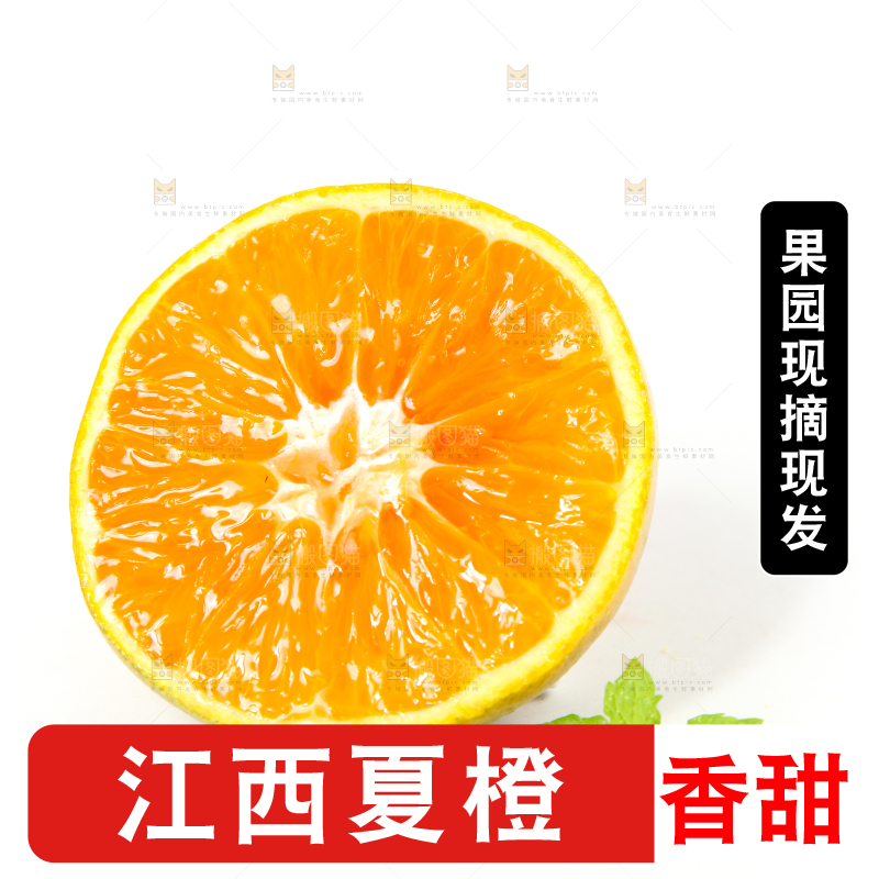 白底上放着的夏橙