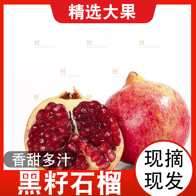 白底上的突尼斯软籽石榴