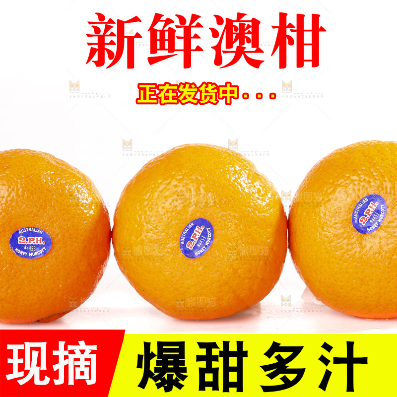 白底上放着新鲜澳柑