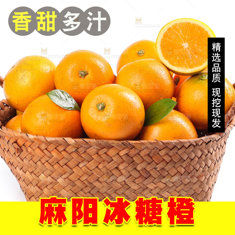 白底上的麻阳冰糖橙