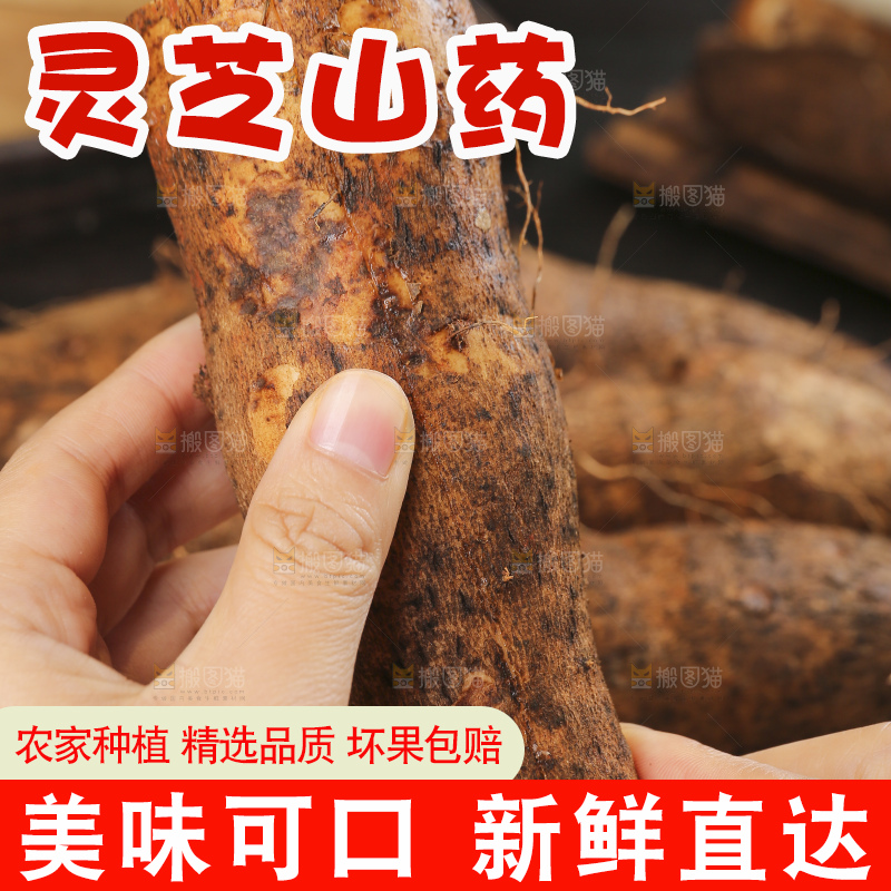 深底上的灵芝山药