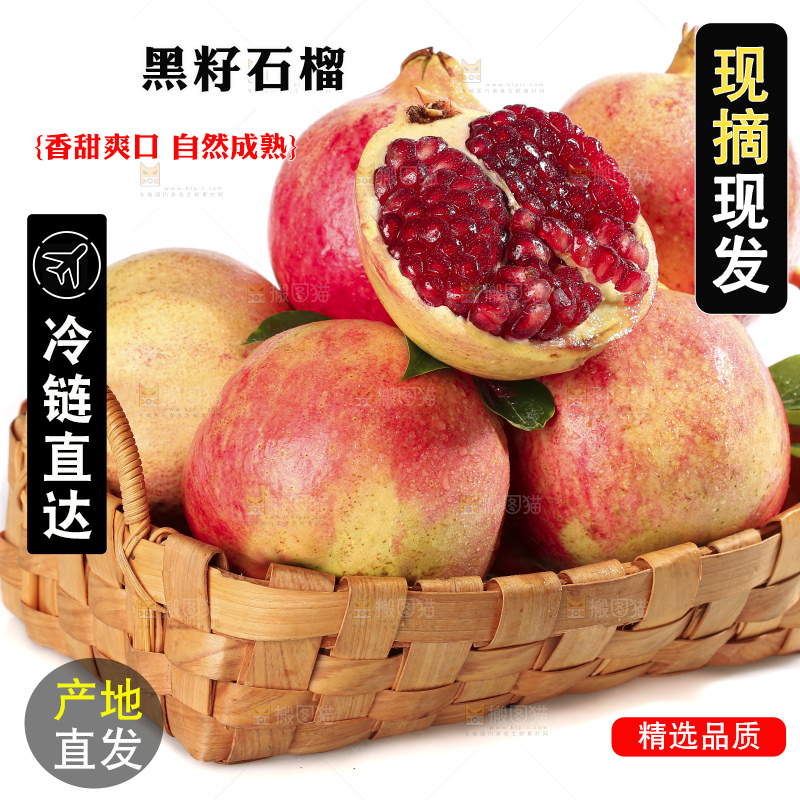 白底上的突尼斯软籽石榴