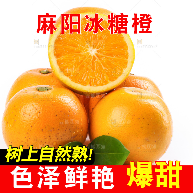 白底上的麻阳冰糖橙