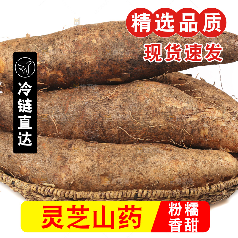 白底上的云南灵芝山药