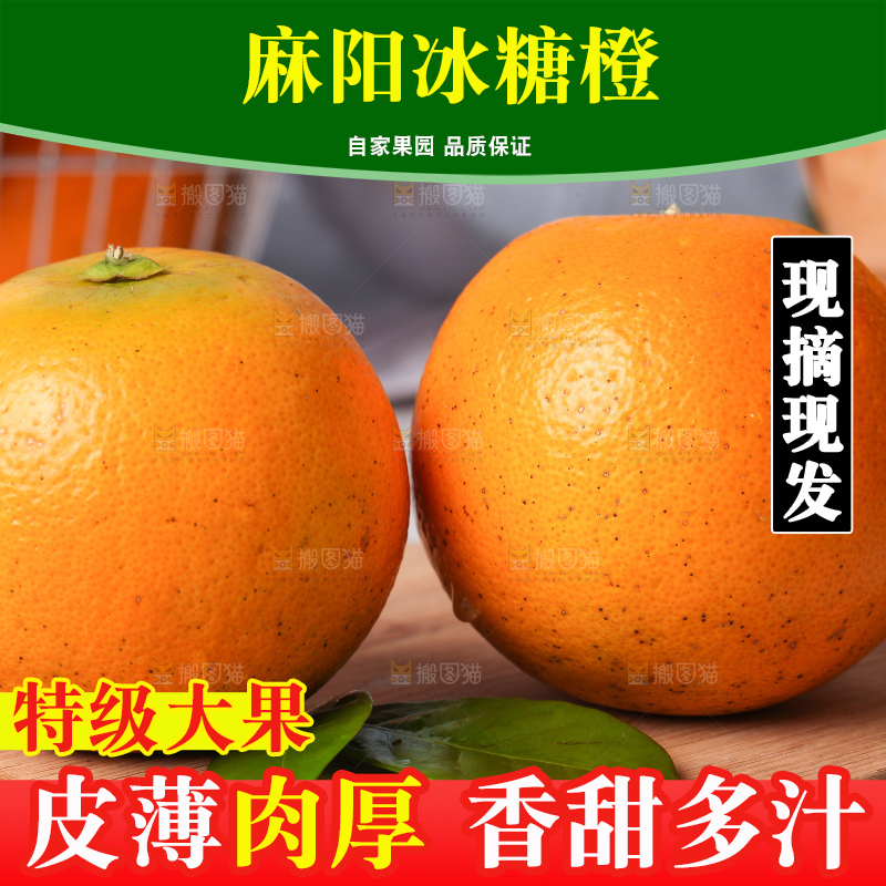 浅底上的麻阳冰糖橙