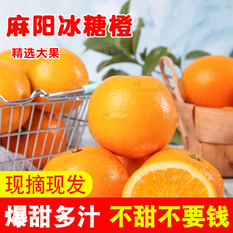 浅底上的麻阳冰糖橙