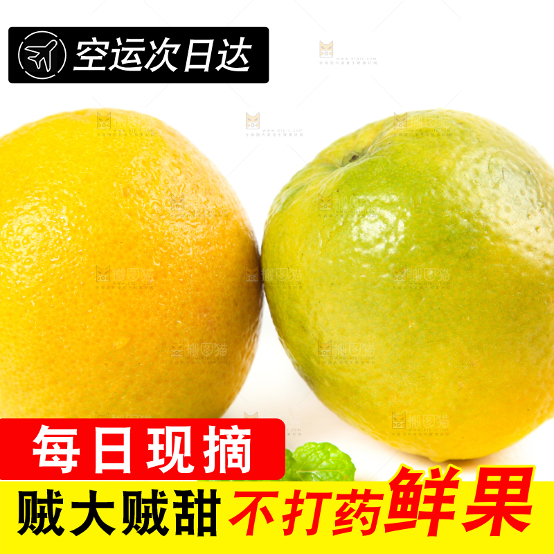白底上放着的夏橙
