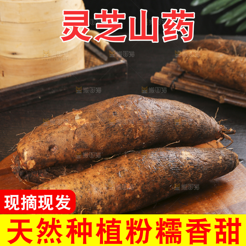 深底上的灵芝山药