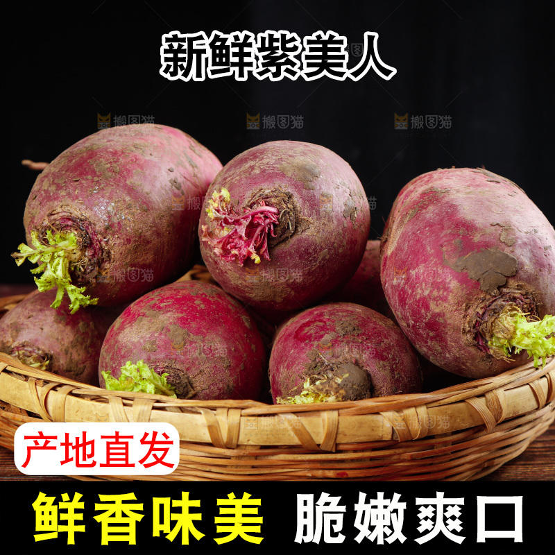木底上的紫美人萝卜
