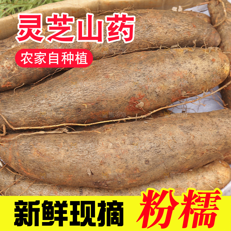 草地上的灵芝山药