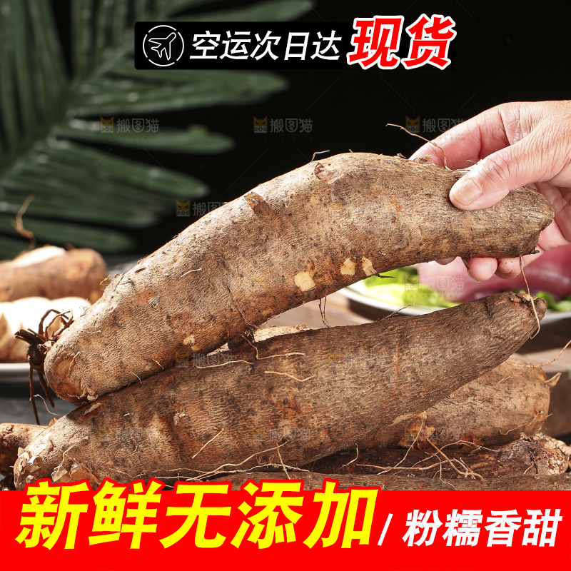 深底上放着灵芝山药