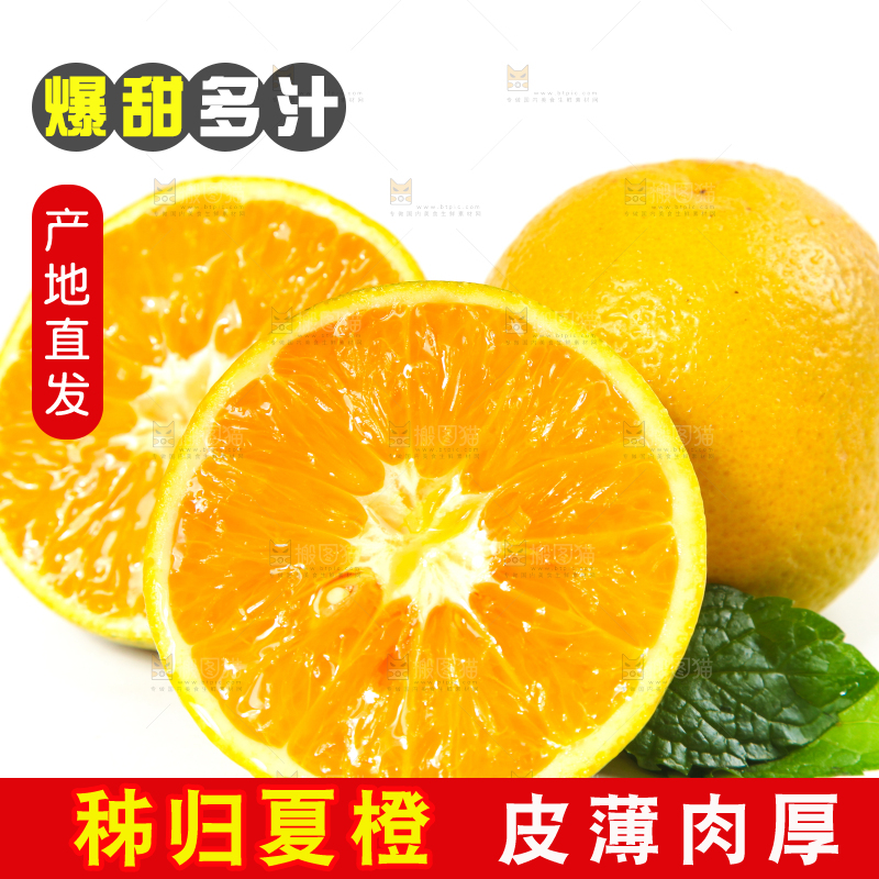 白底上放着的夏橙