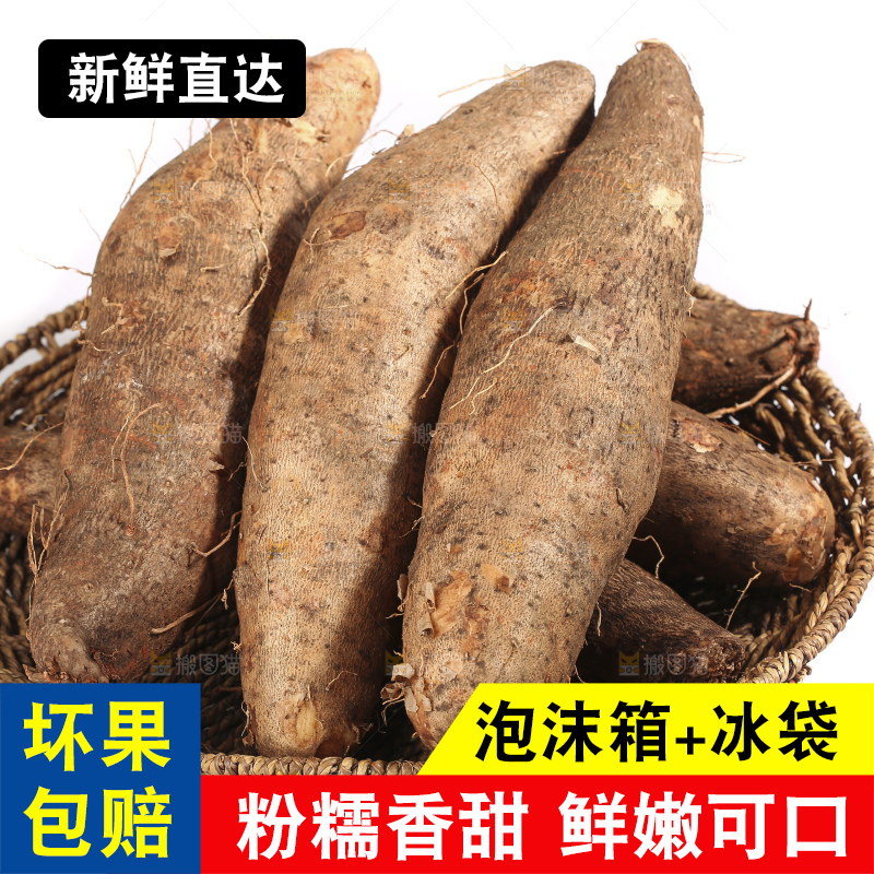 白底上的云南灵芝山药