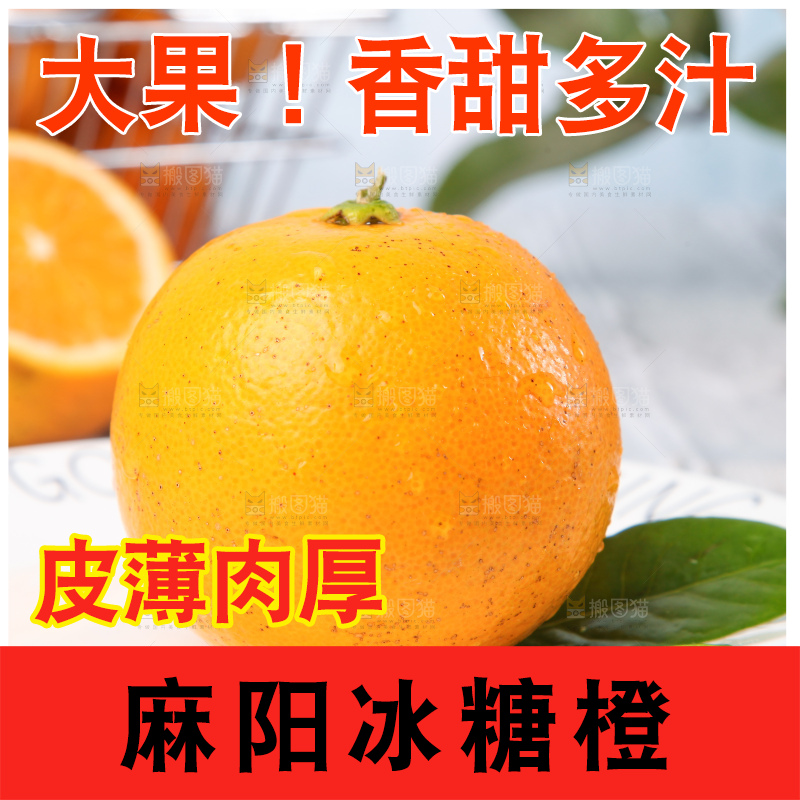 浅底上的麻阳冰糖橙