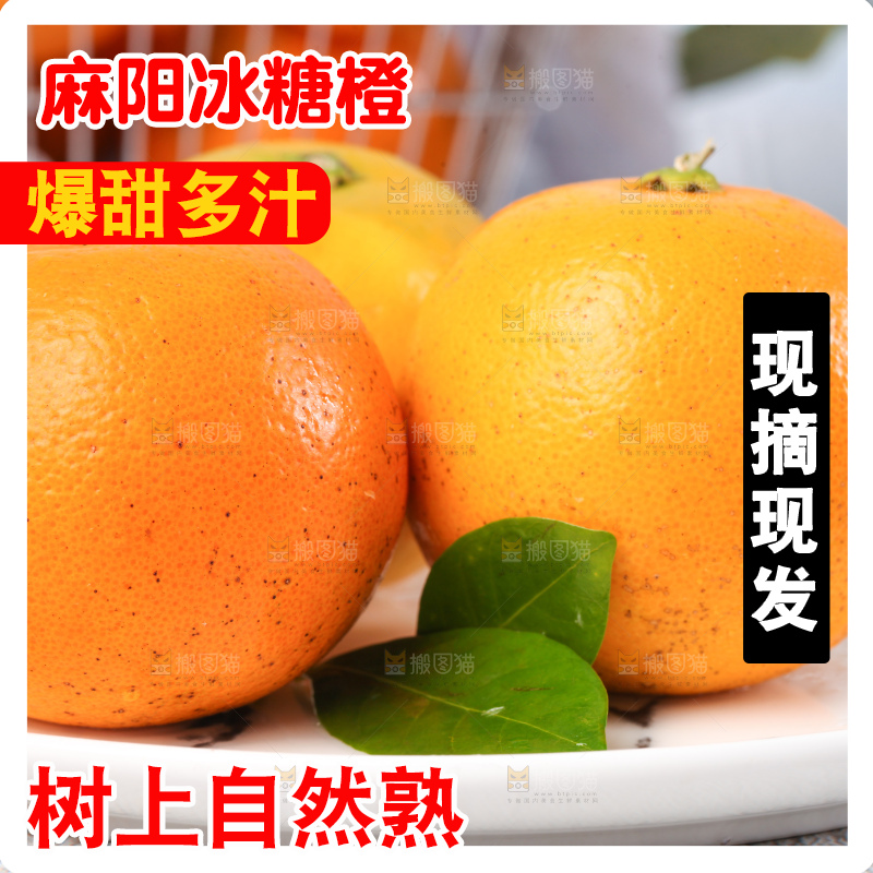 浅底上的麻阳冰糖橙