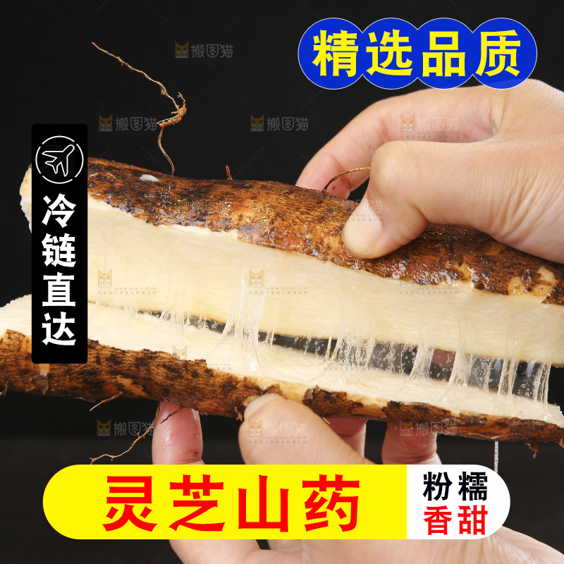 手里拿着拉丝灵芝山药