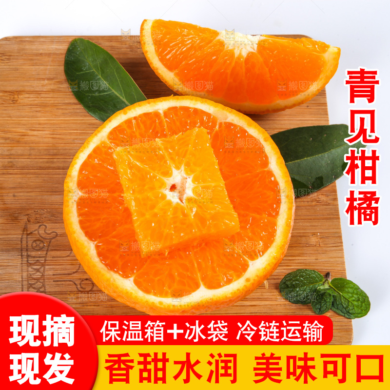 白底上放着青见柑橘
