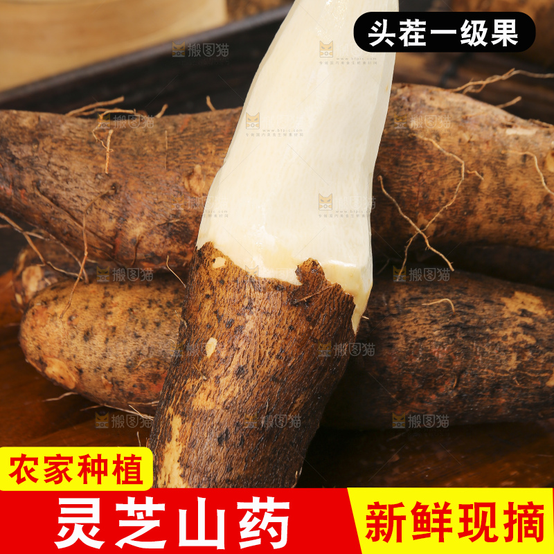 深底上的灵芝山药