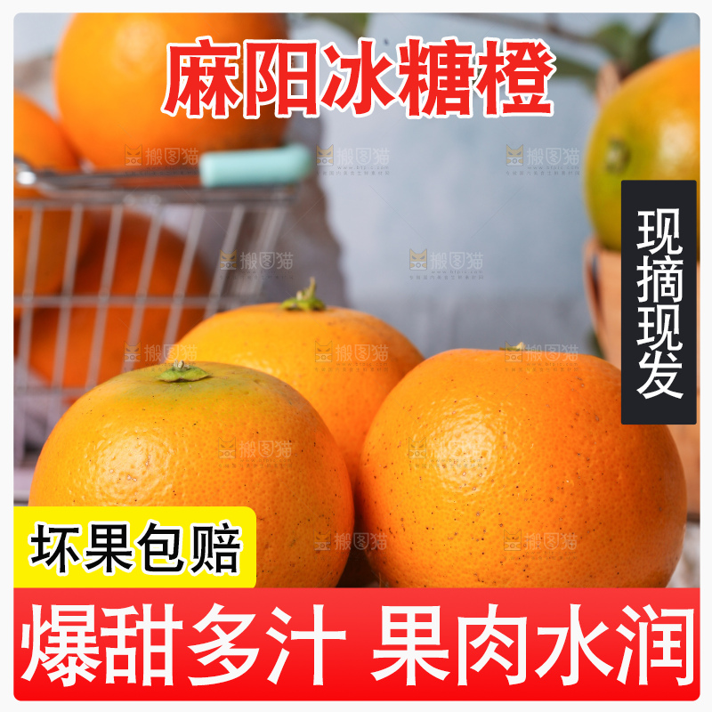 浅底上的麻阳冰糖橙