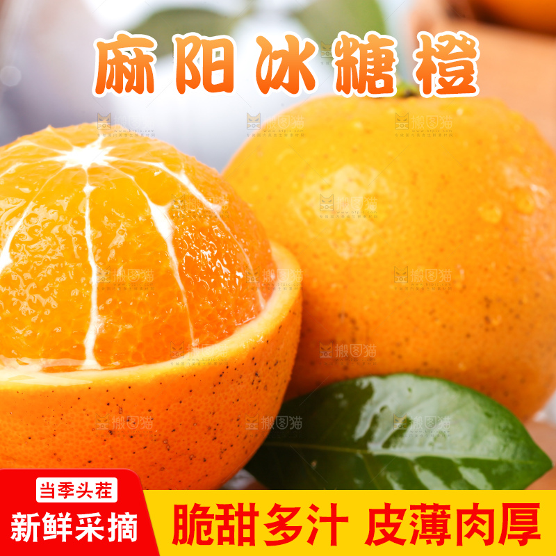浅底上的麻阳冰糖橙