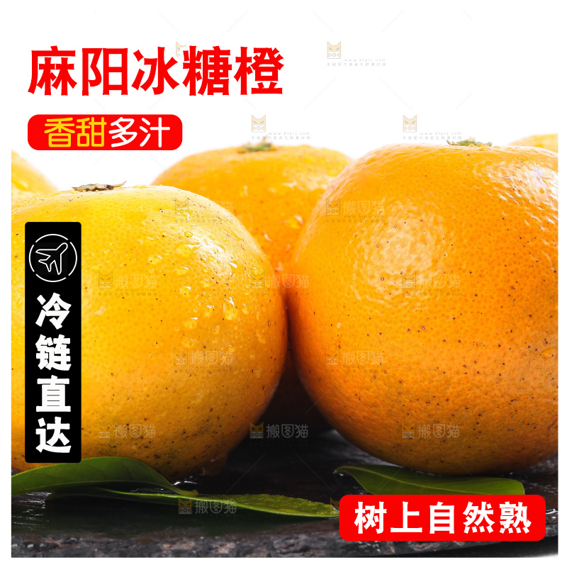 白底上的麻阳冰糖橙