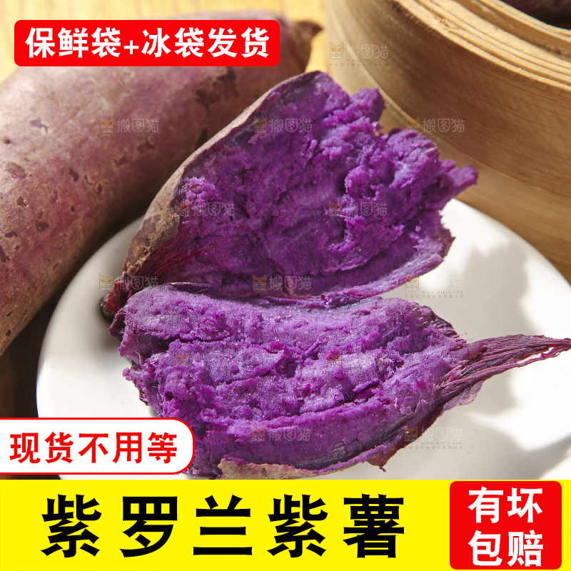 木底上的沙地紫薯