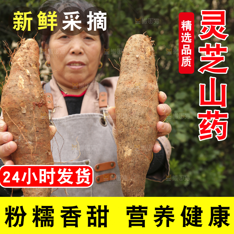 手里拿着灵芝山药