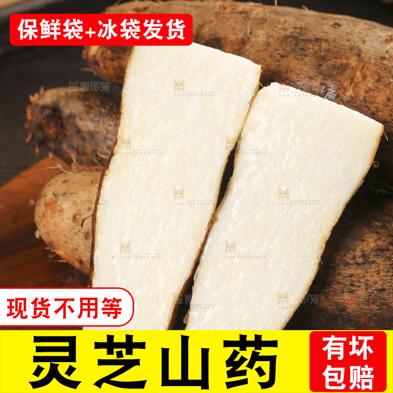 深底上的灵芝山药