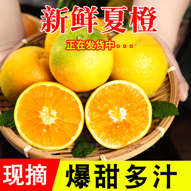 深底上放着夏橙