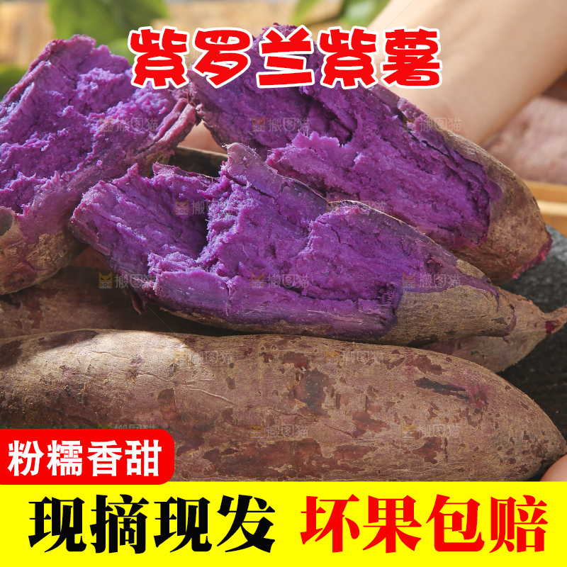 木底上的沙地紫薯