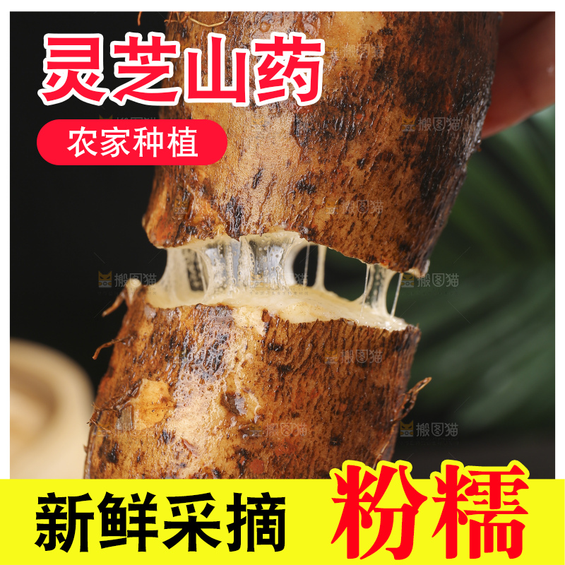 深底上的灵芝山药