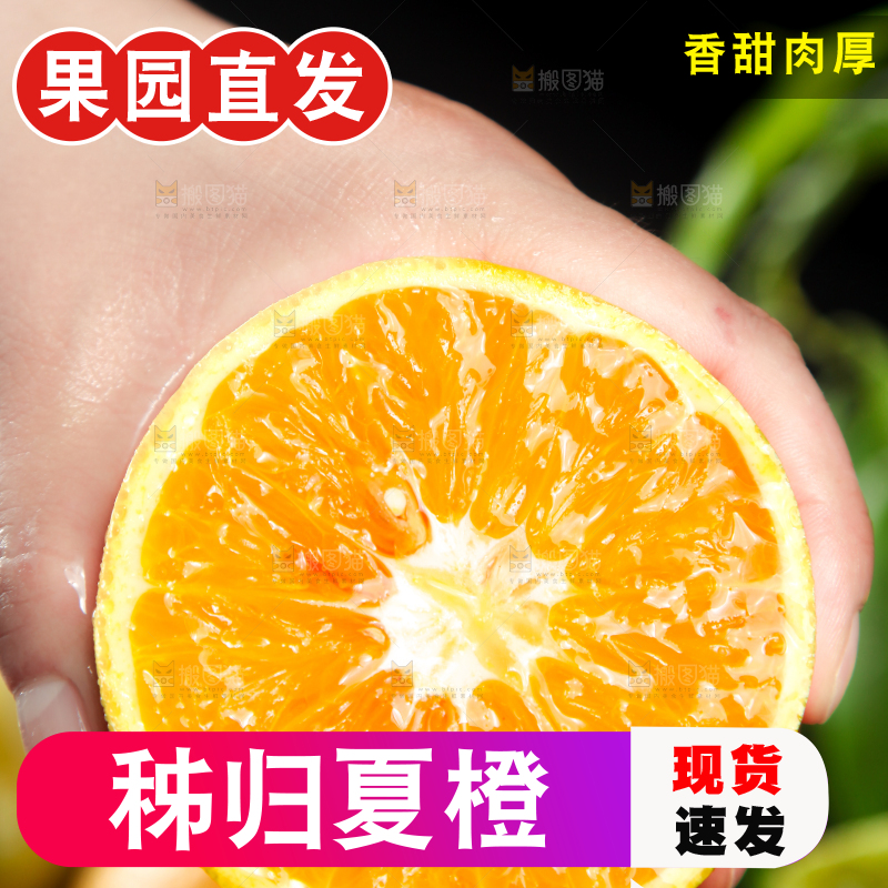 深底上放着夏橙