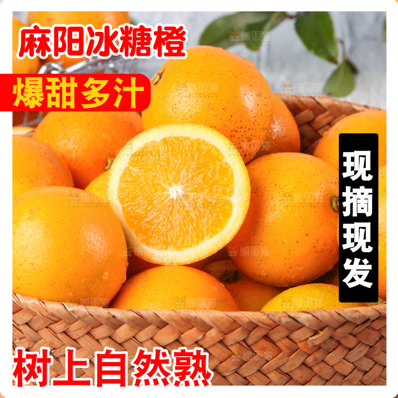 浅底上的麻阳冰糖橙
