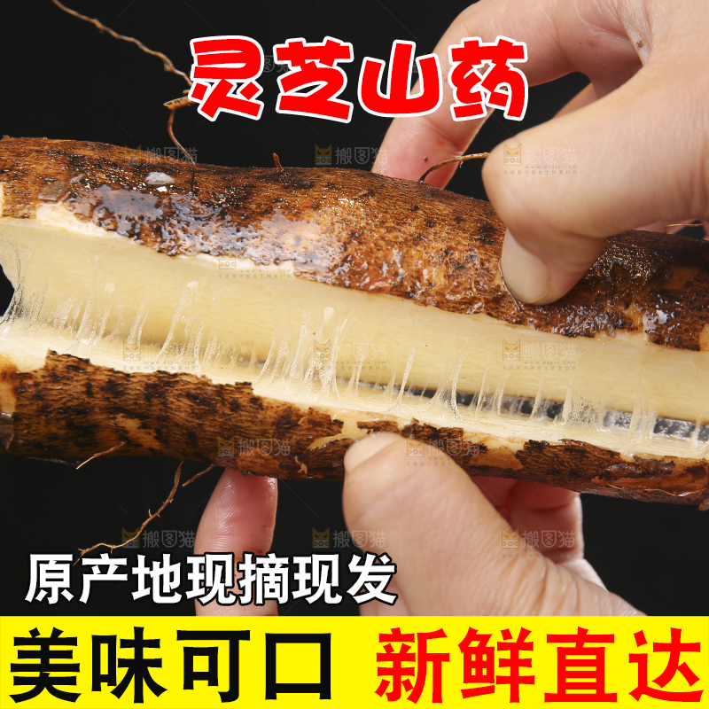手里拿着拉丝灵芝山药